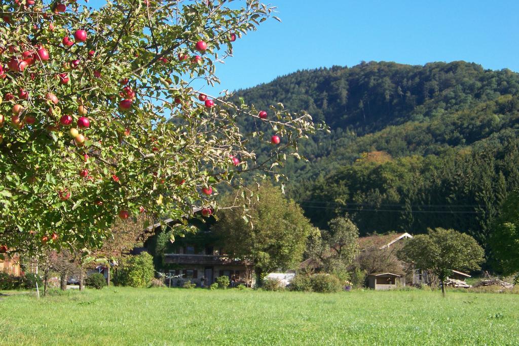 Niederauer Hof Hotel Neubeuern Luaran gambar